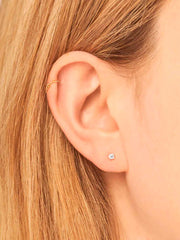 Delicate Crystal Studs Silver